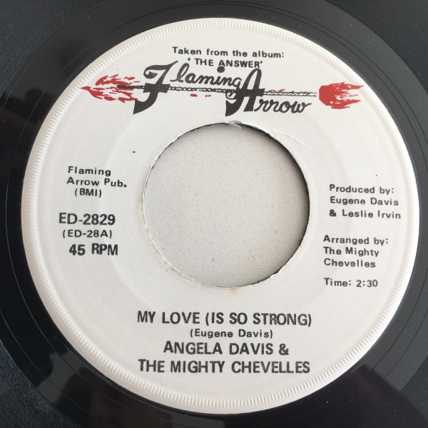 Angela Davis & The Mighty Chevelles